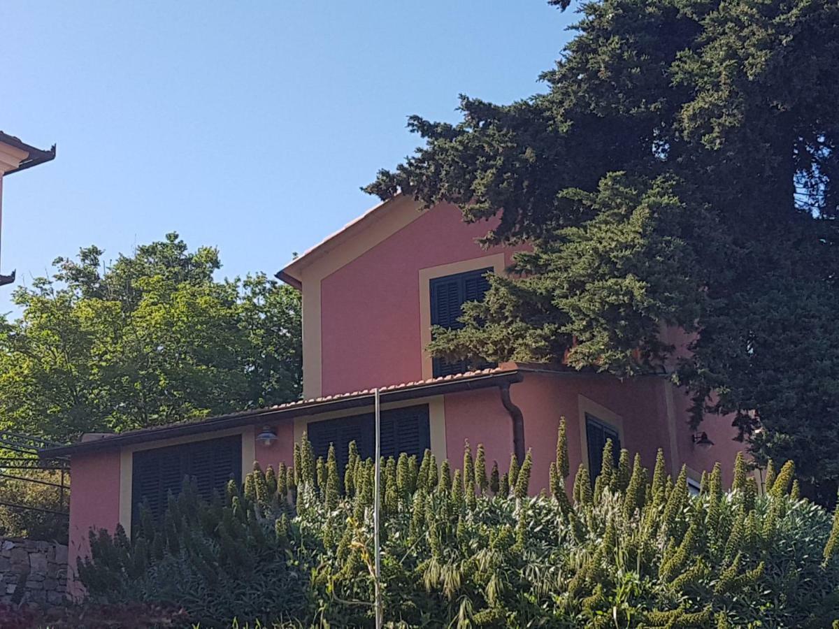 Villa Caterina 임페리아 외부 사진